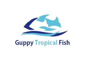 Guppy Tropical Fish Corp